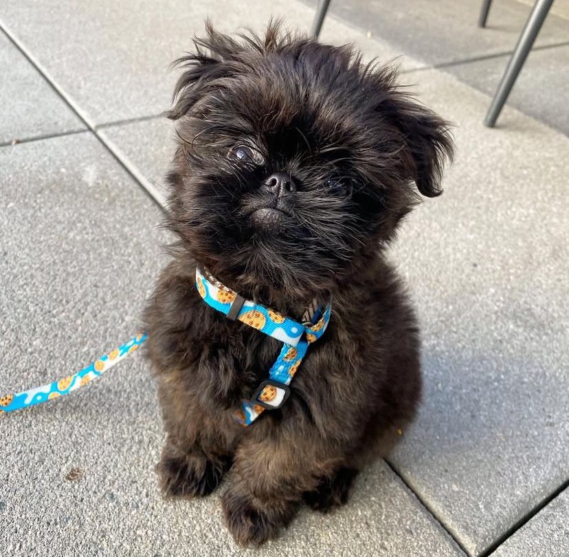 whatsapp image 2025 08 24 at 21.03.30 72024e04