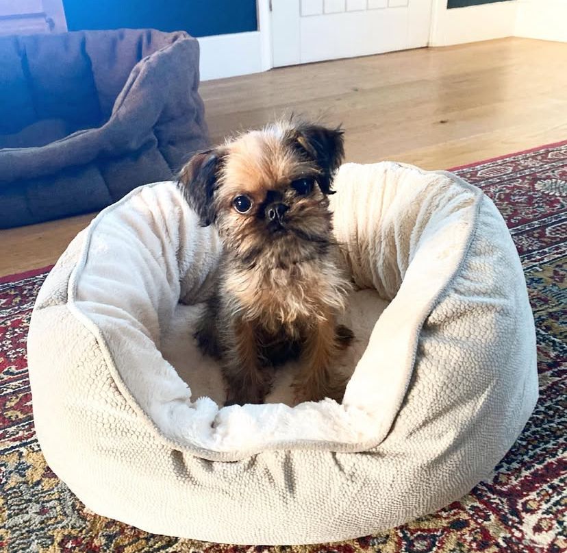 whatsapp image 2025 08 24 at 21.03.42 fb1f6d90