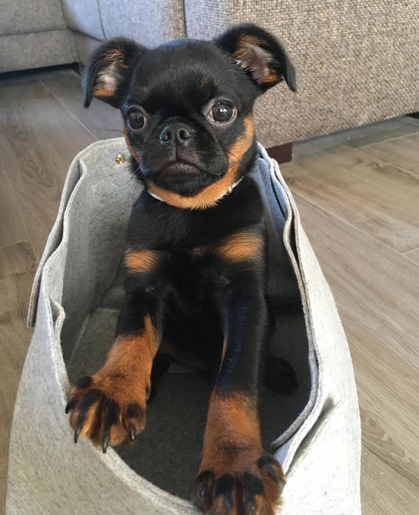 whatsapp image 2025 08 24 at 21.06.58 c982157e