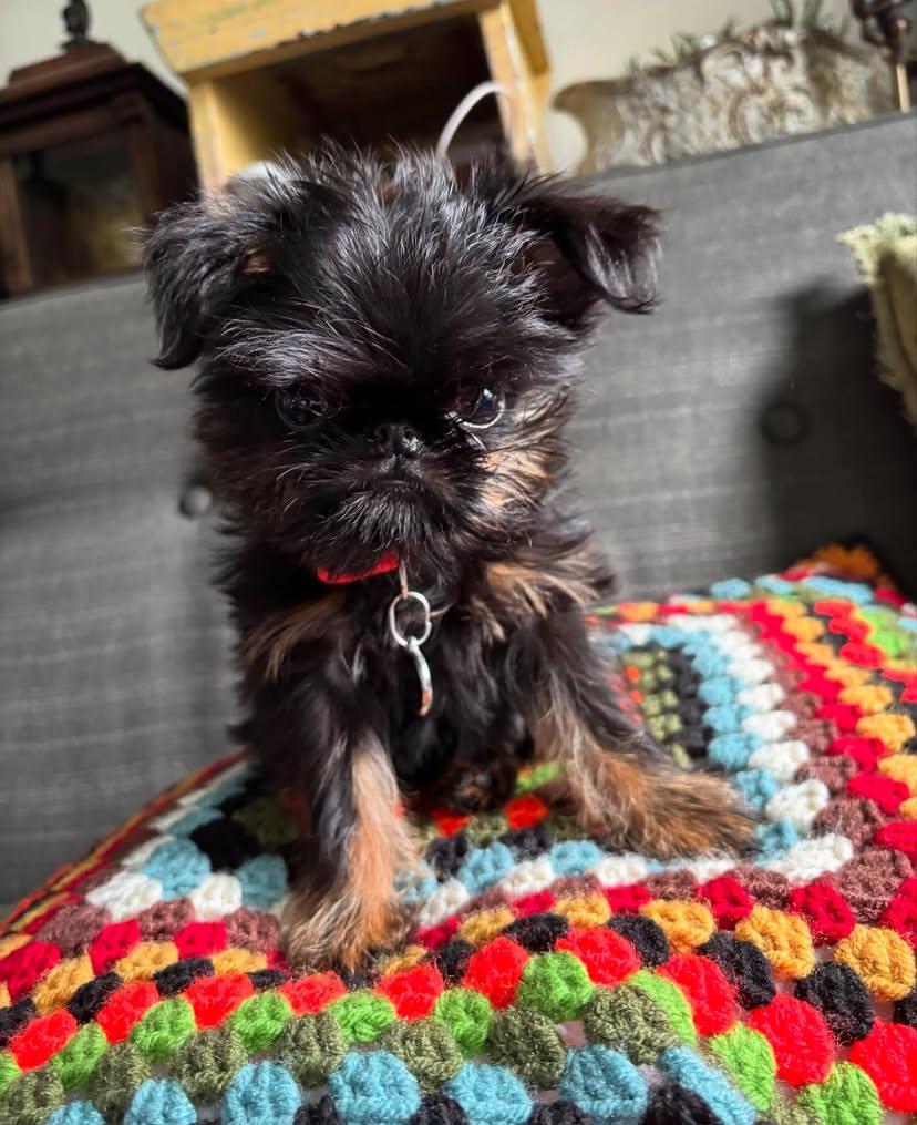 whatsapp image 2025 08 24 at 21.07.14 56cf9cfb