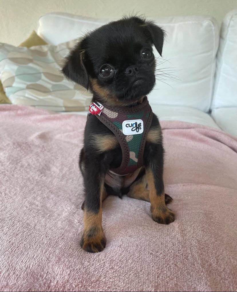 whatsapp image 2025 08 24 at 21.08.22 7740bbae