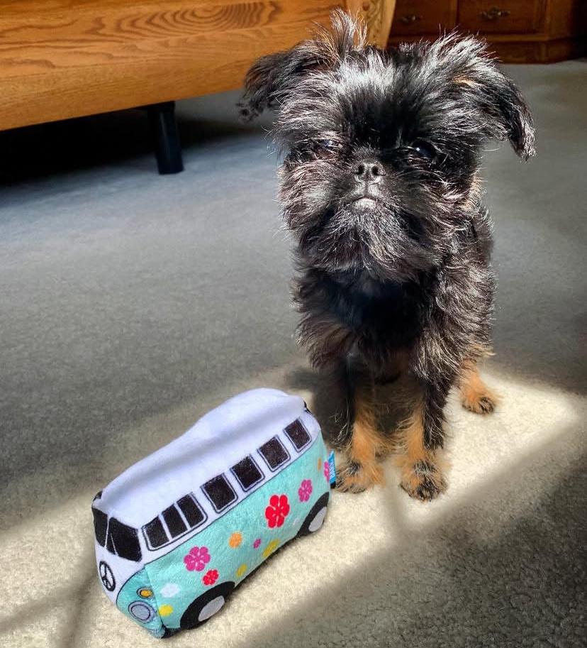 whatsapp image 2025 08 24 at 21.08.33 a82685db