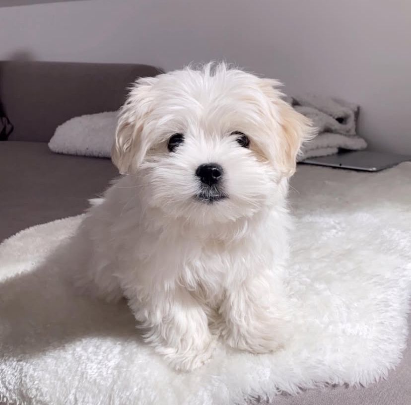 whatsapp image 2025 08 27 at 00.12.08 4a7335f6